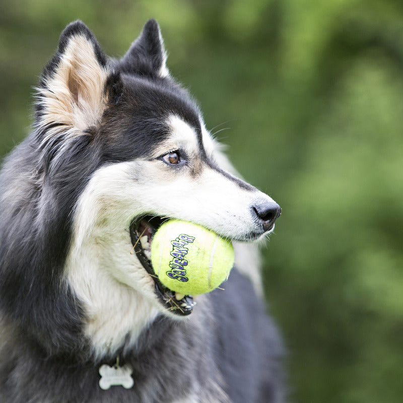 KONG AIRDOG SQUEAKER BALL W/ROPE