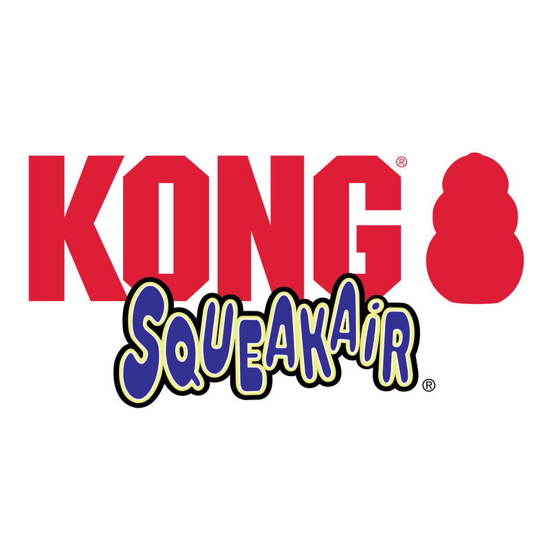 KONG AIRDOG SQUEAKER BALL W/ROPE