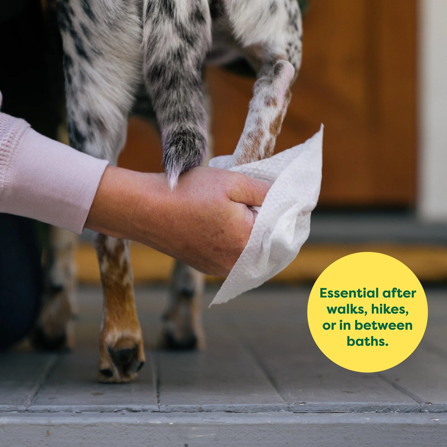 Earth Rated 100 Dog Wipes