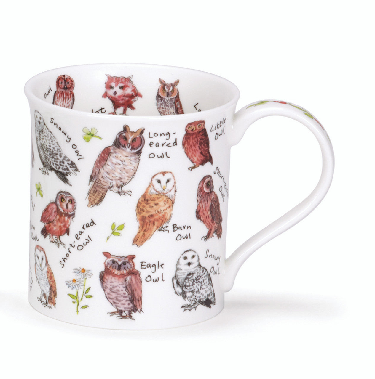 Dunoon Mug Bute Birdlife Owls 300ml