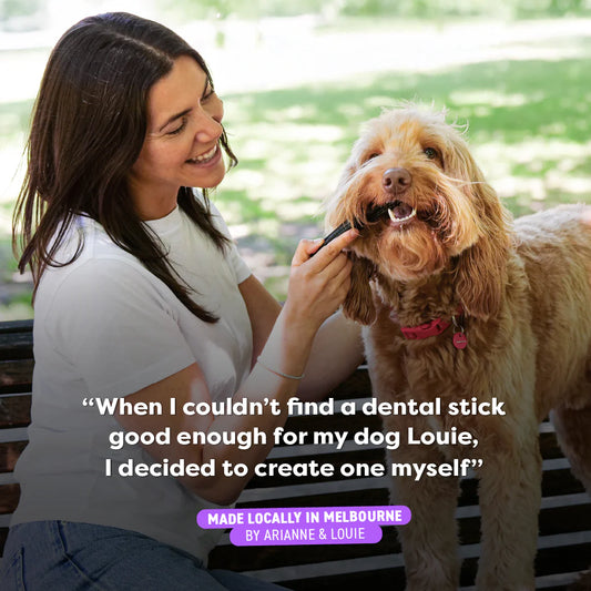 BELL & BONE DOG DENTAL STICKS CHICKEN MINT & SEAWEED MED