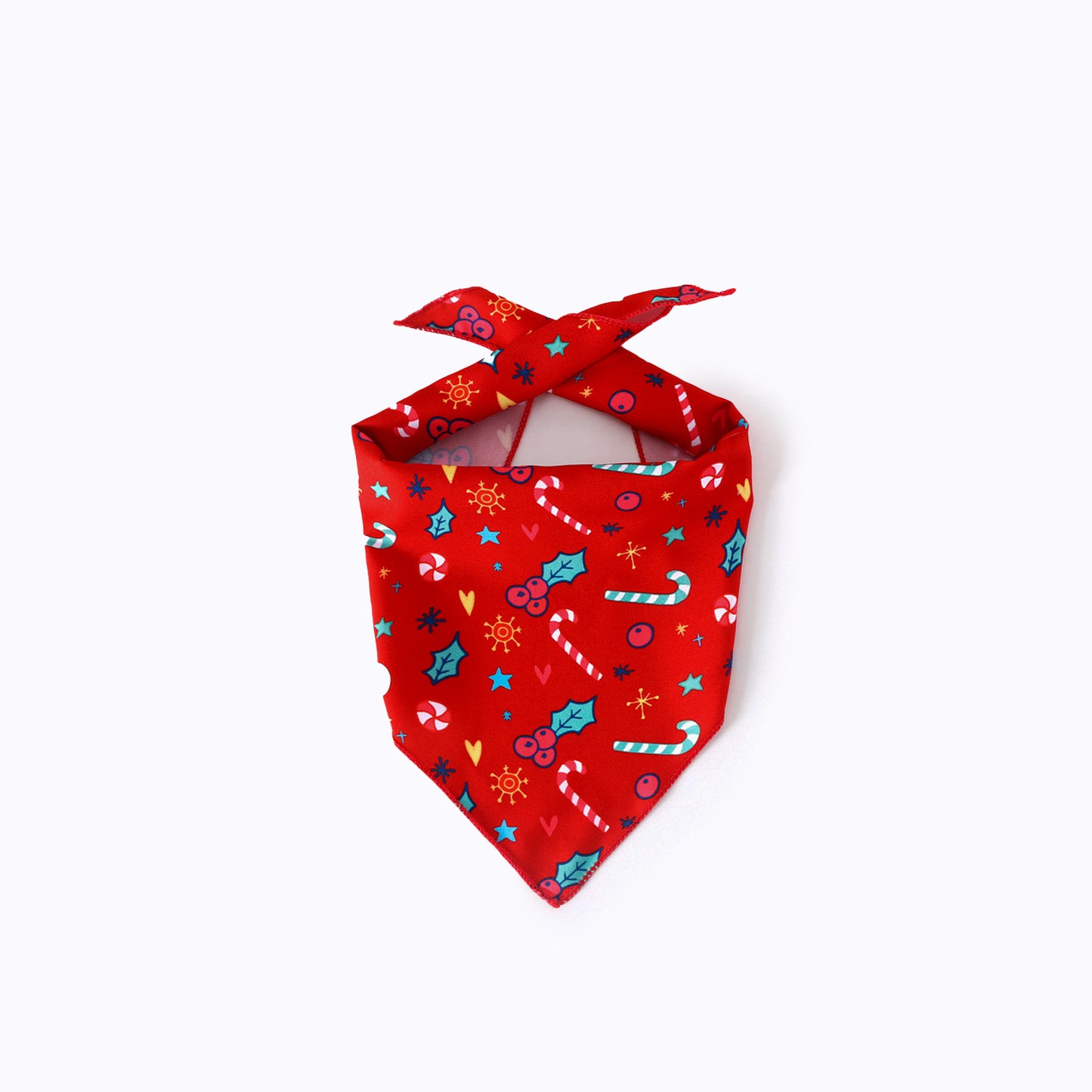 Pet Christmas Hat & Bandana Set