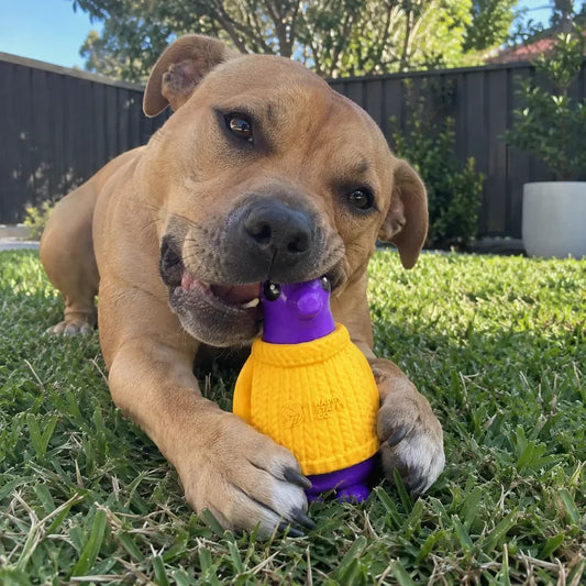 Happy Staffy Co. Squeaky Power Penguin Dog Chew Toys