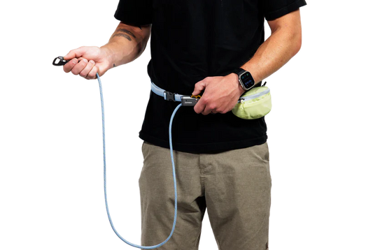 (2026 NEW) RUFFWEAR Hitch Hiker™ Leash - Sunny Lime