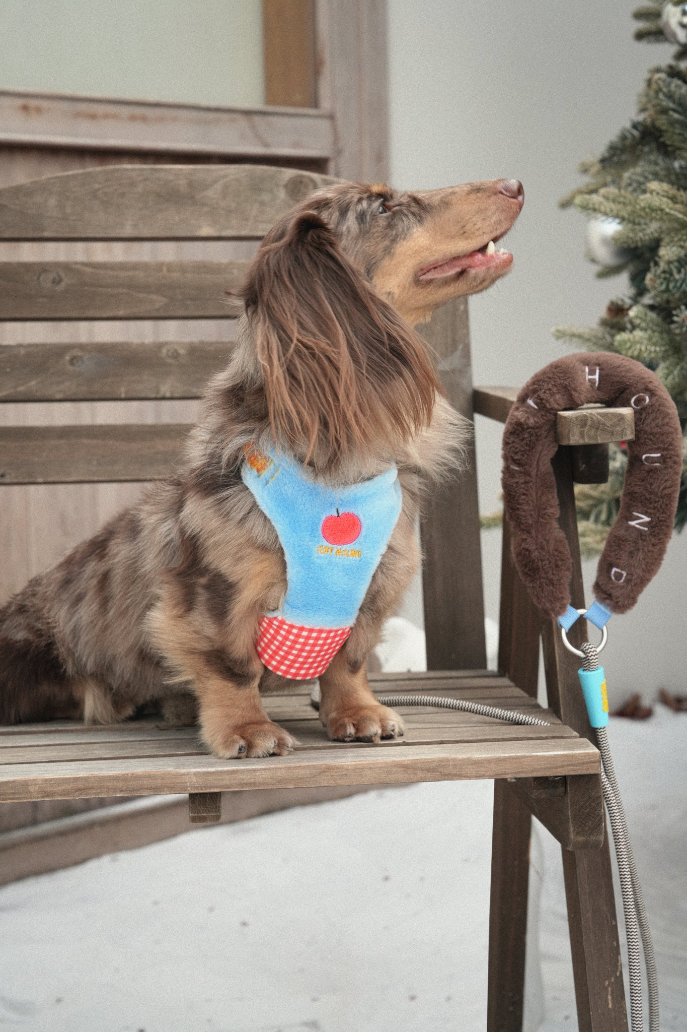 Plush Small Dog Harness - Blue