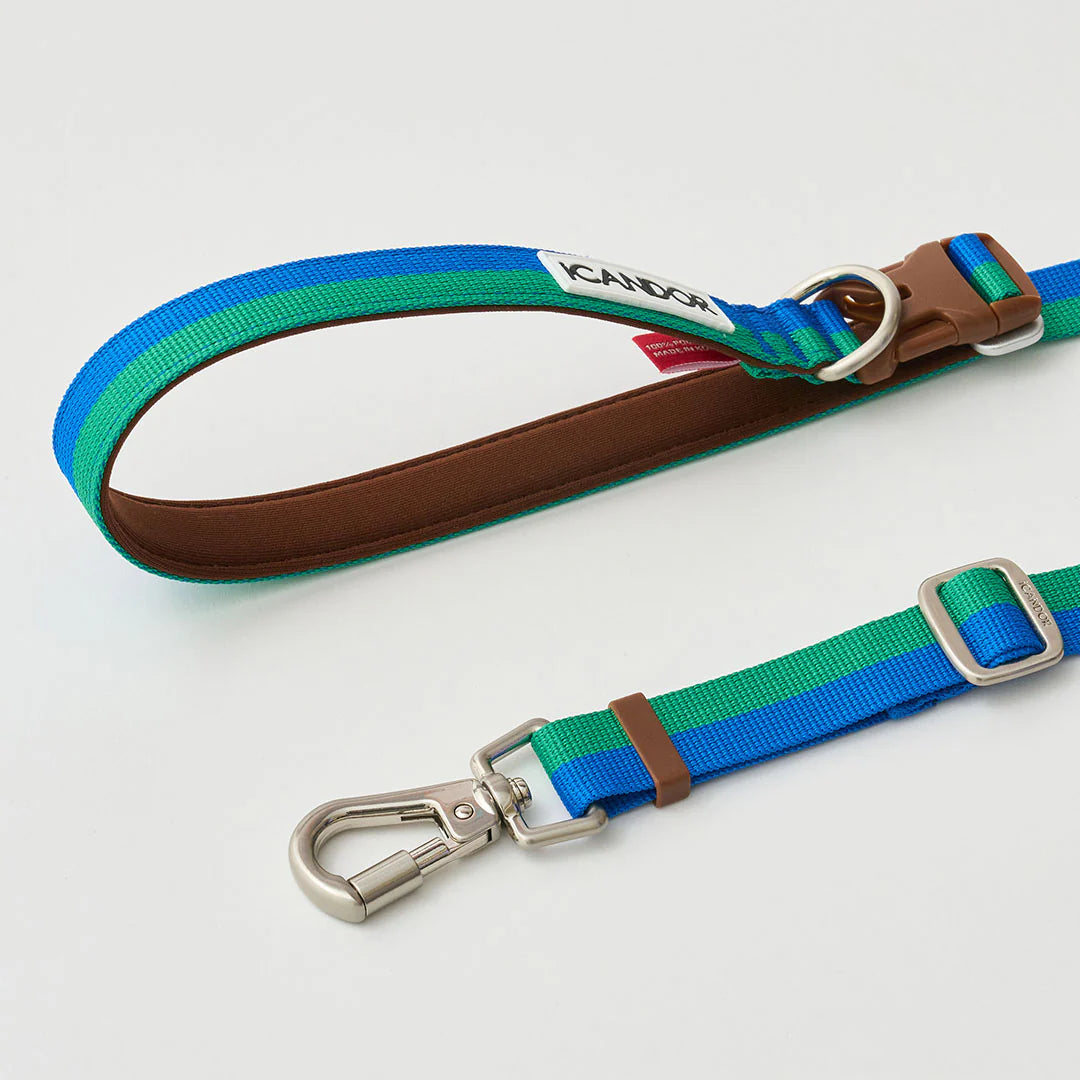 iCANDOR Gentle Leash Bolt, Long | Multi-Way Adjustable Dog Lead 1.3-2.3m