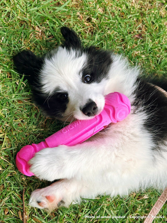 GiGwi G-Foamer Dumbell