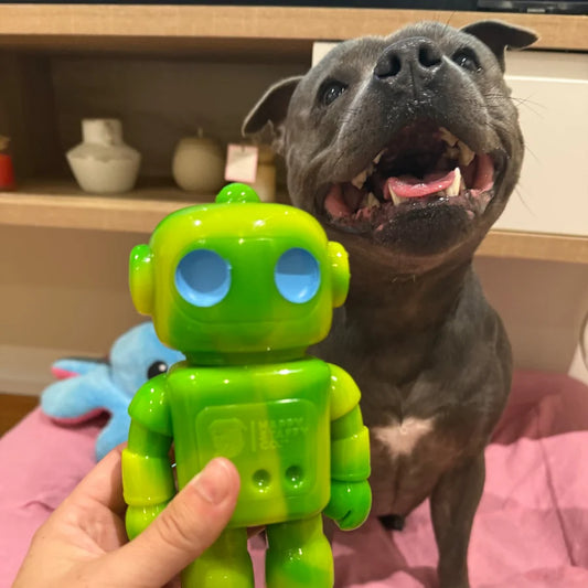 Happy Staffy Co. Musical Bot Dog Chew Toys
