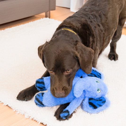 Kong Jungle Jamz Elephant Md/Lg Dog Toy