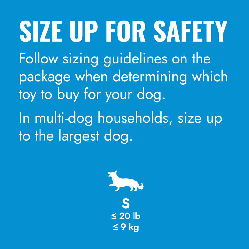 KONG PUPPY FLYER