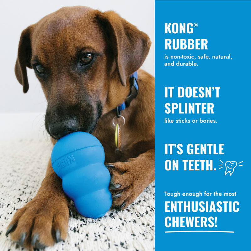 KONG PUPPY FLYER