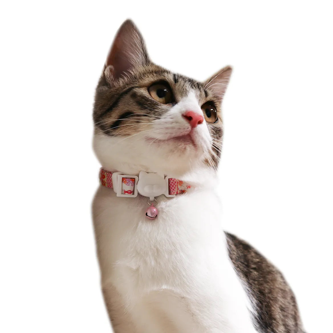 CattyMan Cat Collar - Kyo Temari Pattern-LC309