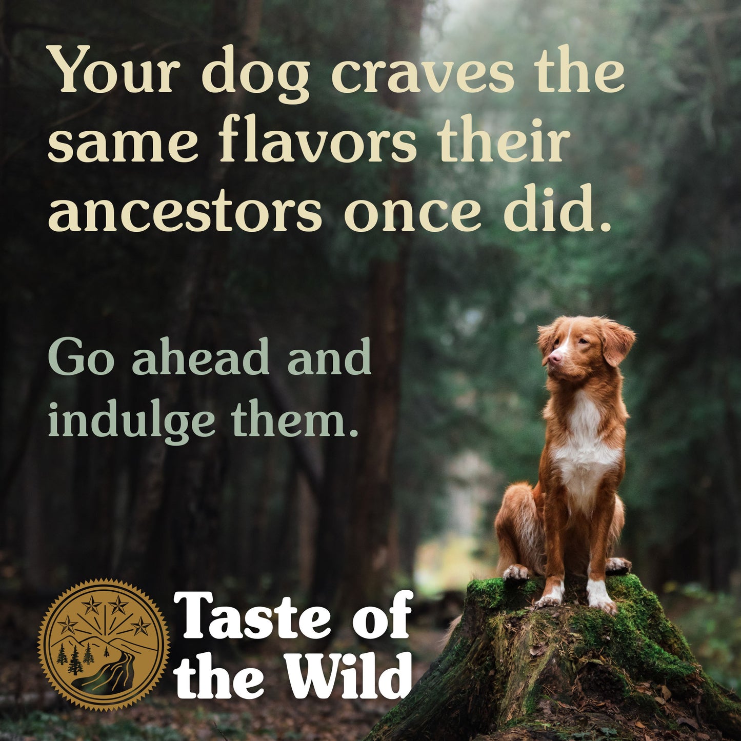 Taste of the Wild High Prairie Canine 2kg
