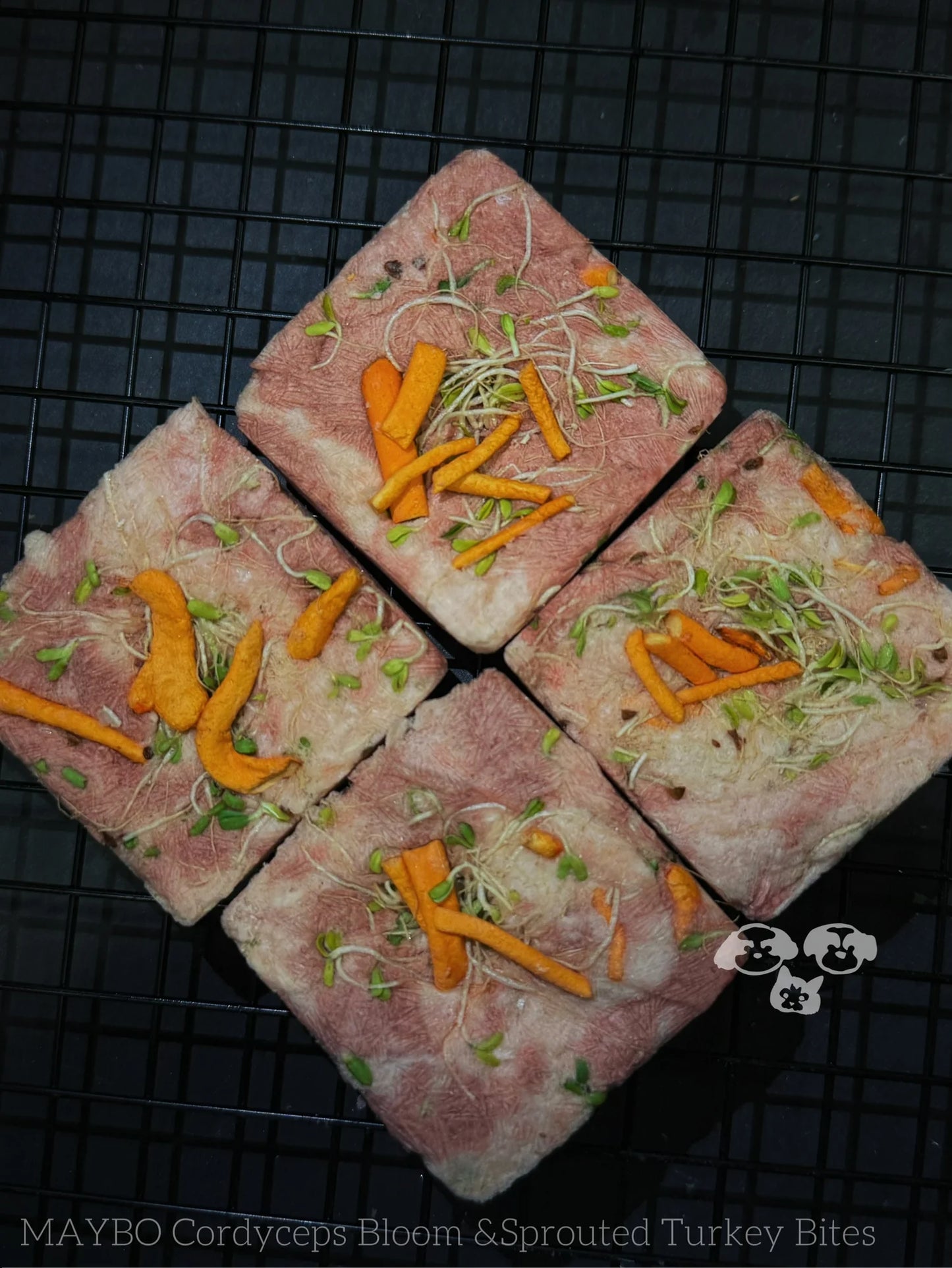 MAYBO FREEZE DRIED MAGIC BOX (LRG 6pk)美寶魔盒-芽苗&虫草花火鸡饼(6枚)
