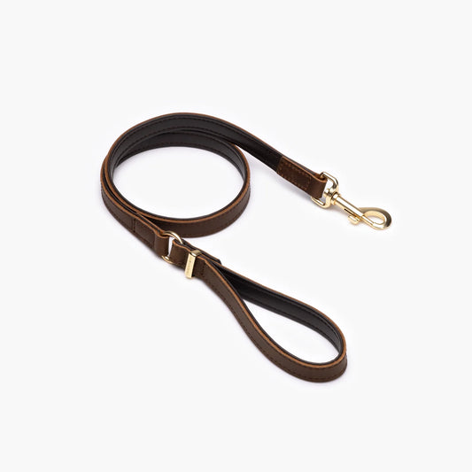 Ezydog Oxford Leather - Classic Leash