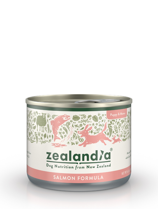ZEALANDIA Mousse Pate Salmon PUPPY & Mama Dog Wet Food 170g