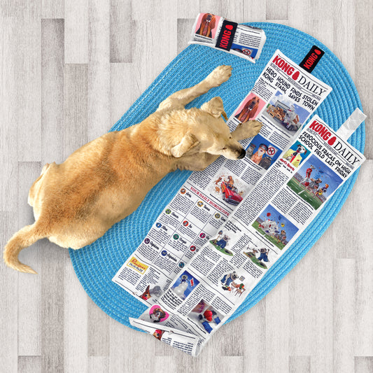KONG Daily Newspaper Dog Toy
