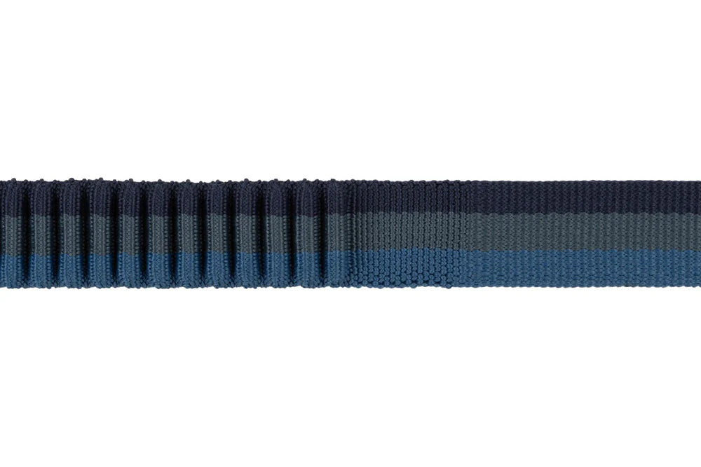RUFFWEAR Roamer Leash Orion Blue