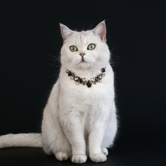 Royal Crystal Teardrop Pet Necklace