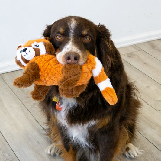 KONG Scampers RED PANDA Dog Toy Medium