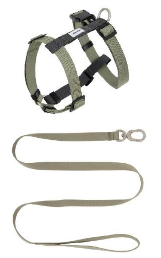 Valley Series H-Style Dog Harness Dog Leash Set - Green