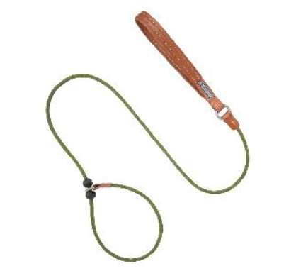 Bobo Series P Dog Leash (150cm)- Green