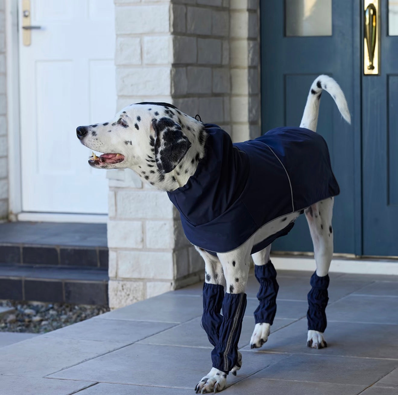 Mandarine Brothers Waterproof Dog Leg Cover - Green