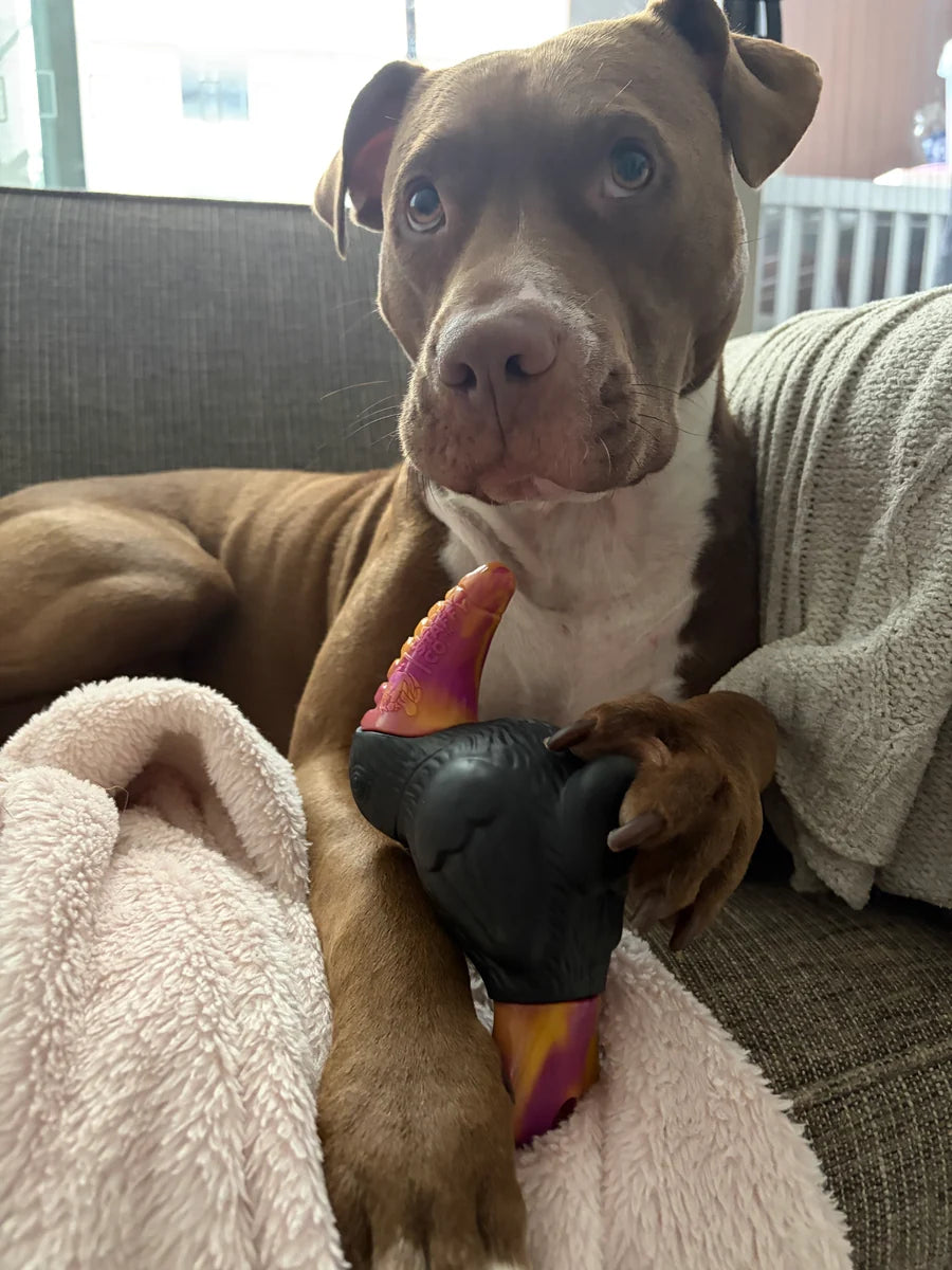 Happy Staffy Co. TREVOR THE TOUCAN Dog Chew Toys