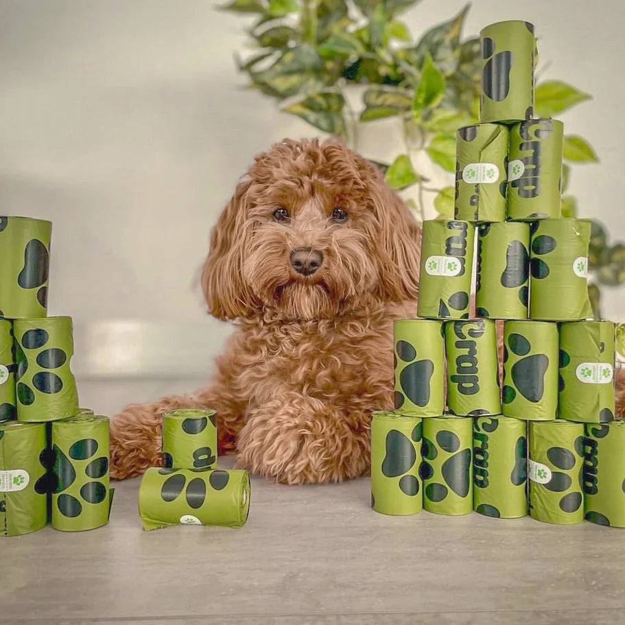 OH CRAP COMPOSTABLE DOG POOP BAGS 60 BAGS