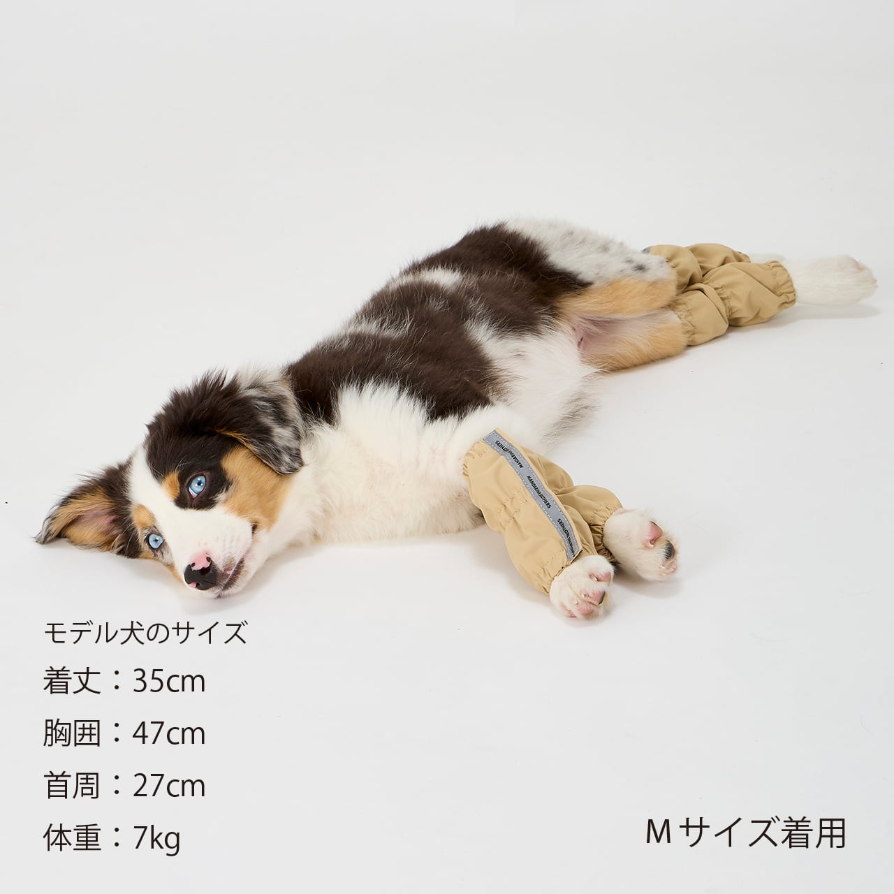 Mandarine Brothers Waterproof Dog Leg Cover - Green