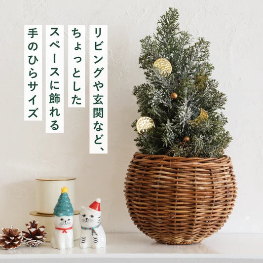 Zappy “Cat Christmas” Ceramic Figurine