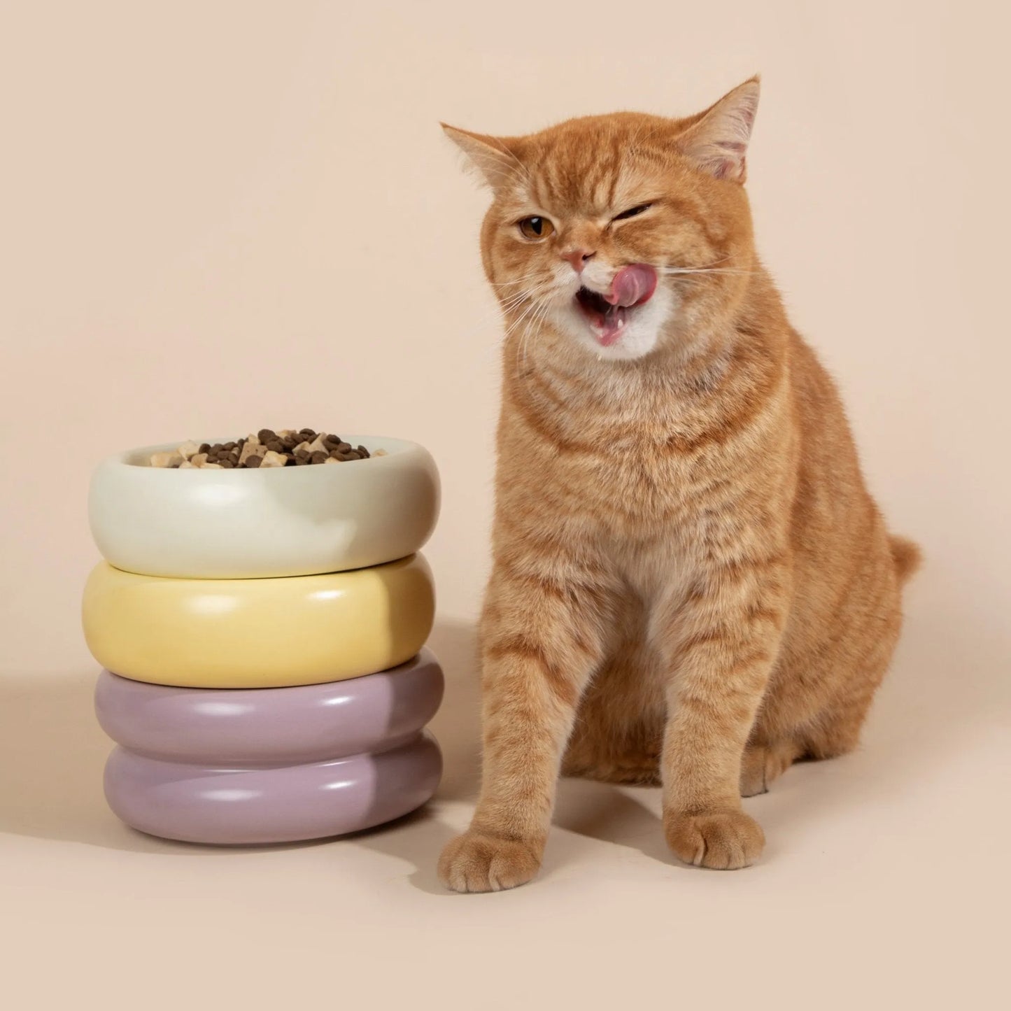 Donut Ceramic Pet Bowl