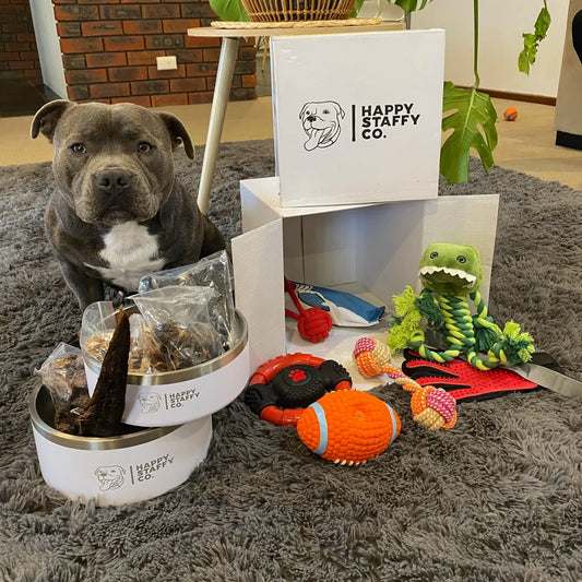 Happy Staffy Co. Power Chew Wheel Dog Chew Toy