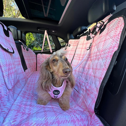 Pablo Headrest Car Restraint