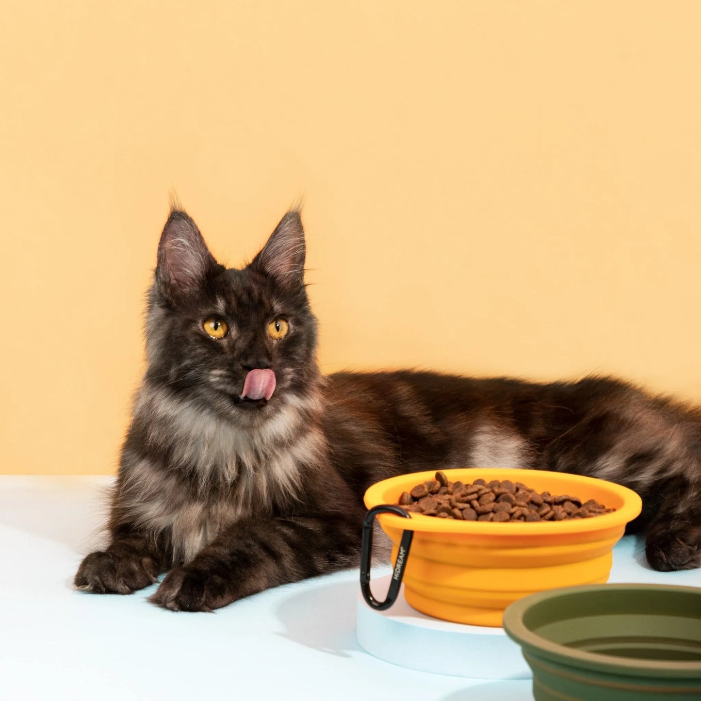 Silicone Collapsible Pet Bowl - Orange