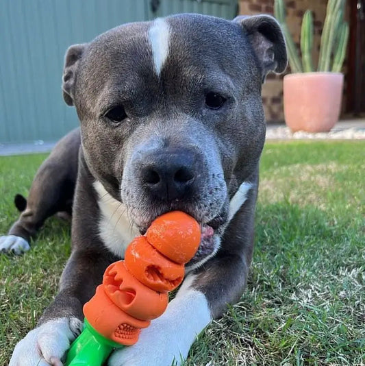 Happy Staffy Co. Chomp Carrot Dog Chew Toy
