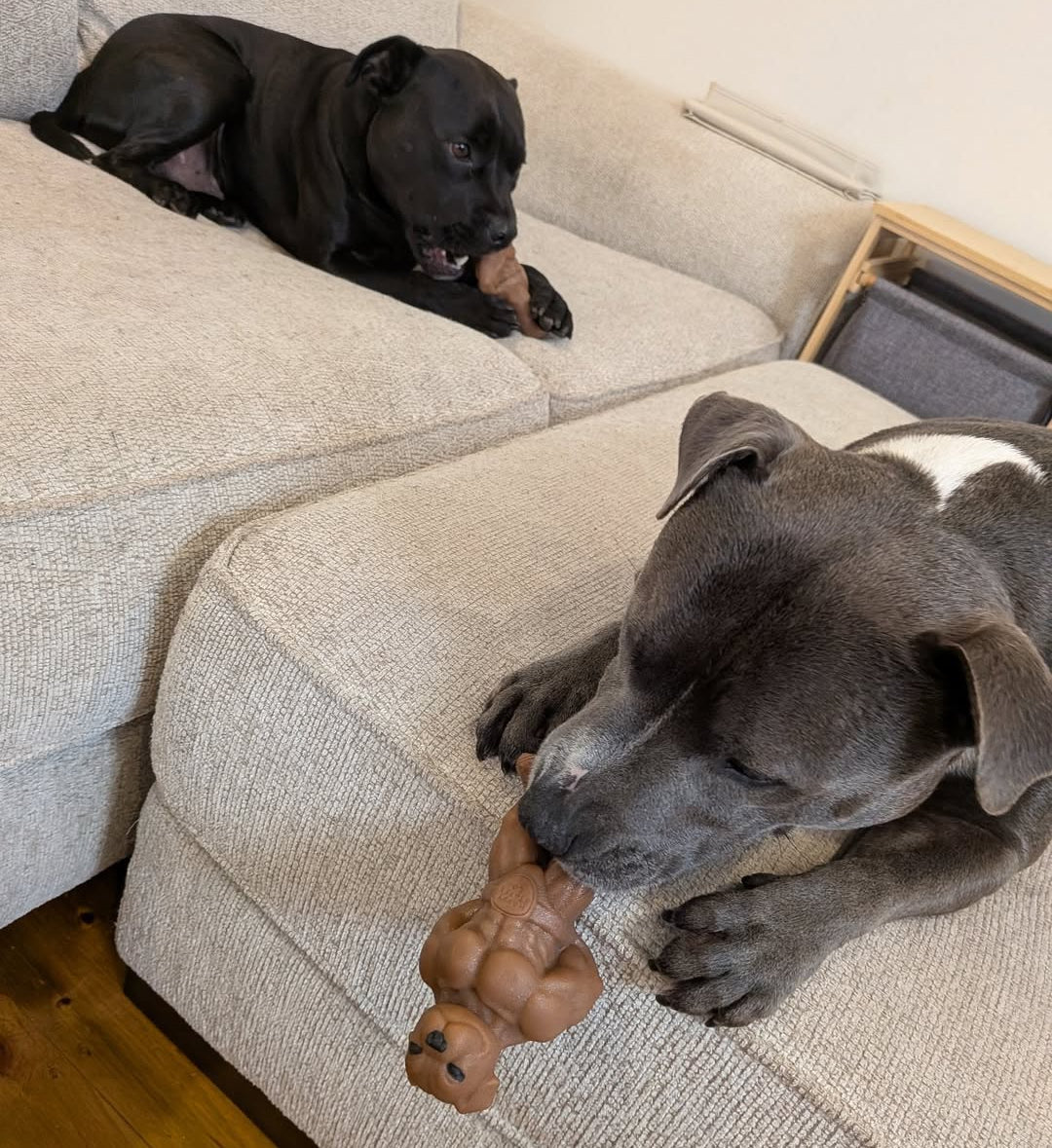 Happy Staffy Co. The Staffinator Dog Chew Toy
