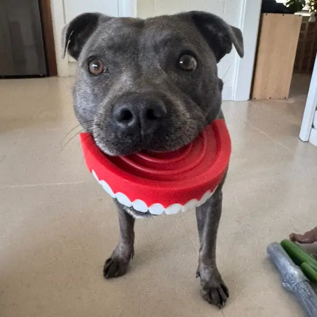 Happy Staffy Co. Chatter Chompers Dog Chew Toy