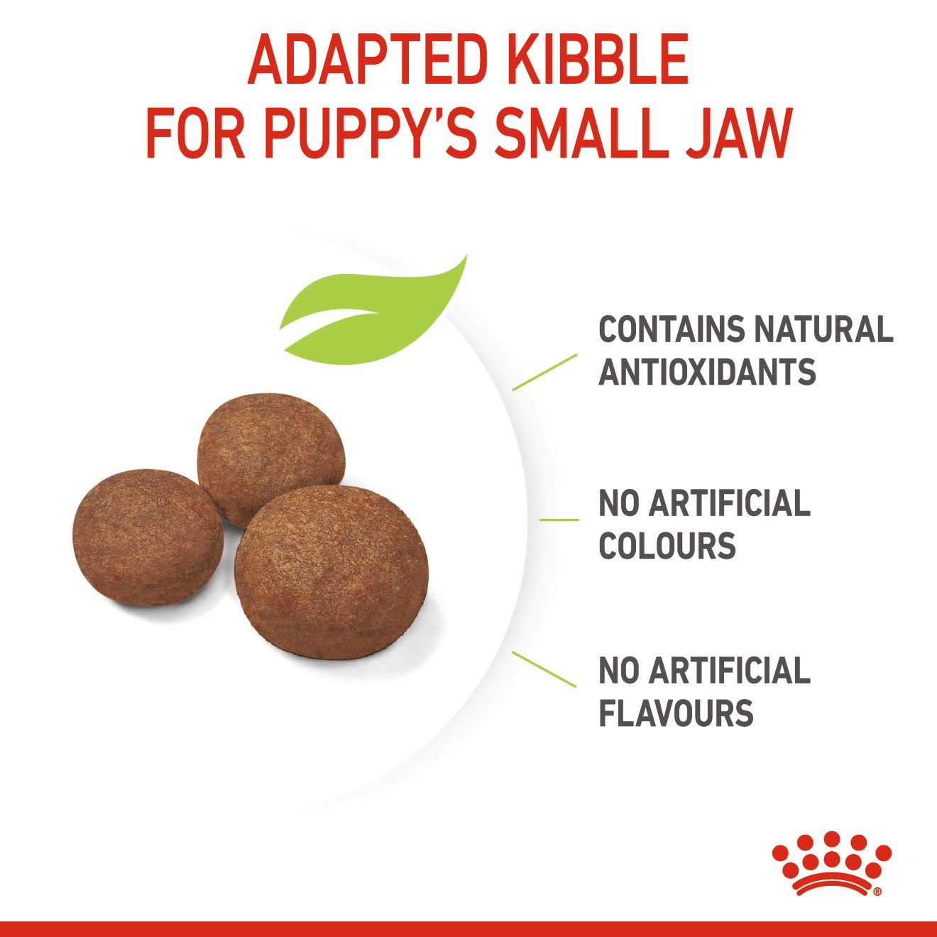 ROYAL CANIN Medium Breed Puppy Food 4kg