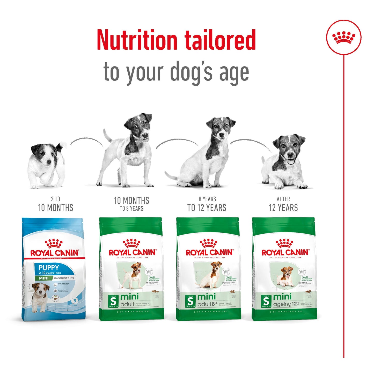ROYAL CANIN Mini Breed Adult Dog Food 2kg