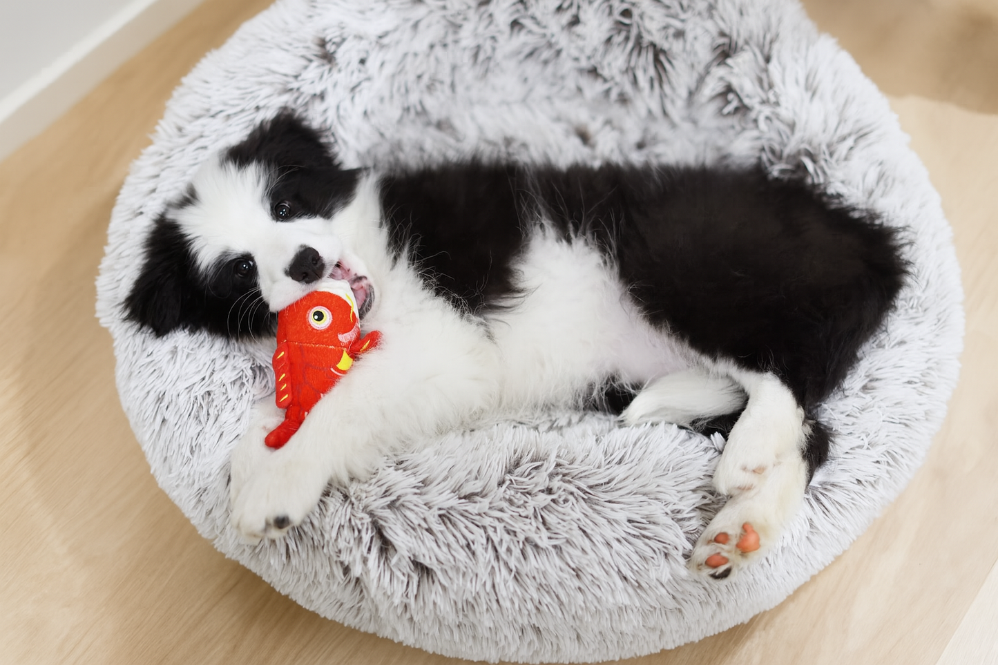 SNOOZA Calming Cuddler Dog Bed - Mink
