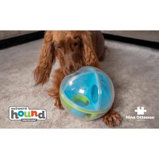 NINA OTTOSSON A-Maze Ball Interactive Puzzle Dog Toy