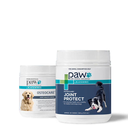 PAW DOG OSTEOCARE JOINT PROTECT 300G 60 CHEWS
