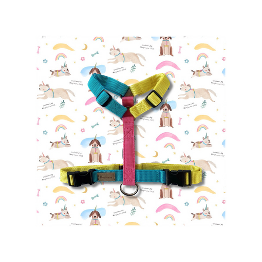 Haqihana Harness H - Unicorn - Limited Edition 2022