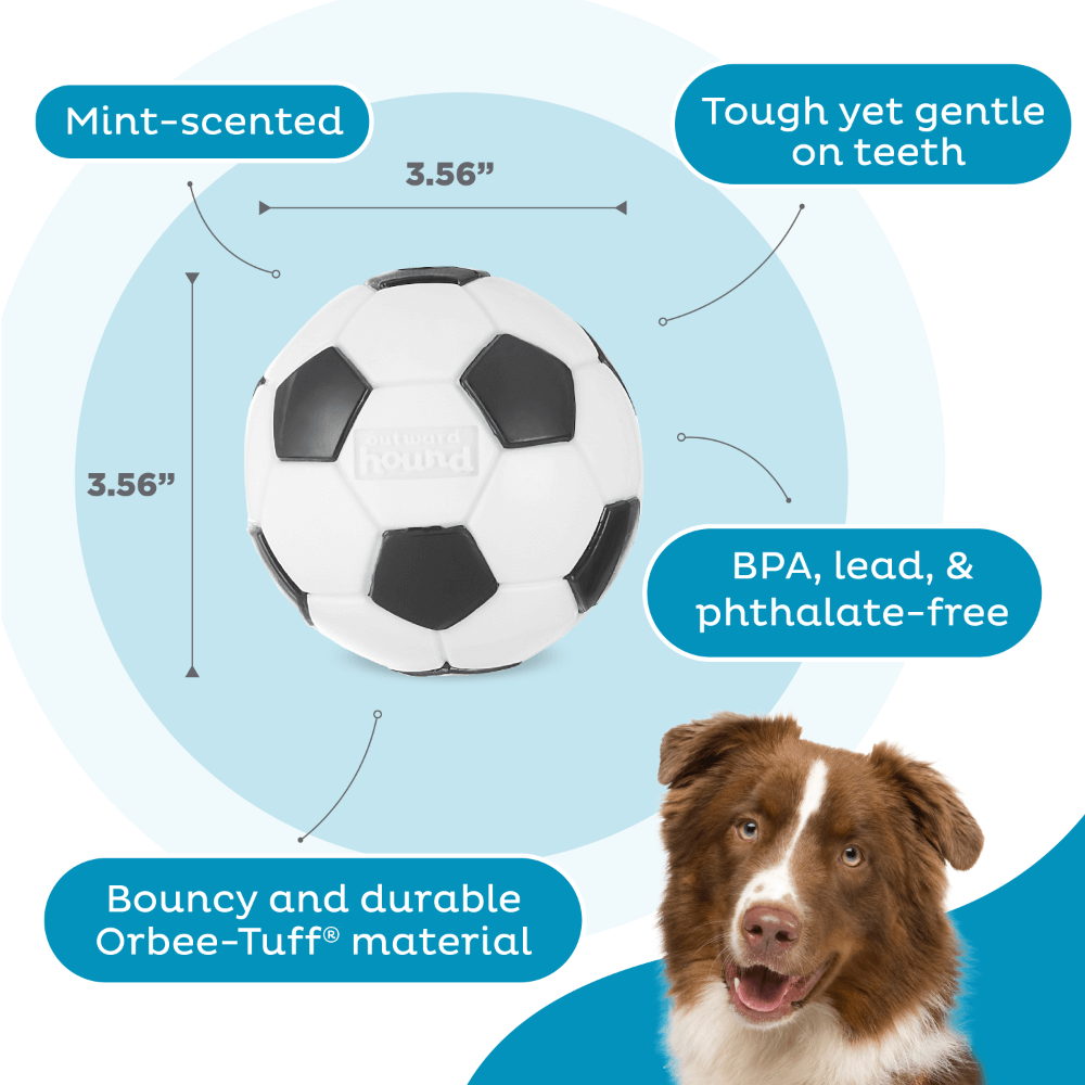 Planet Dog Soccer Ball Dog Treat Dispensing Toy White