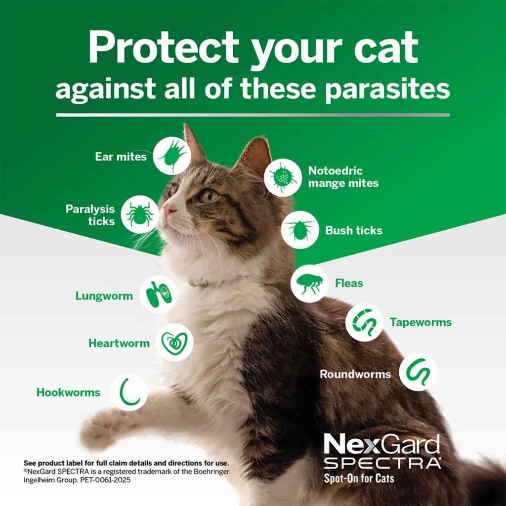 NexGard SPECTRA Flea, Tick & Worming Spot On for Cats 2.5 - 7.5kg