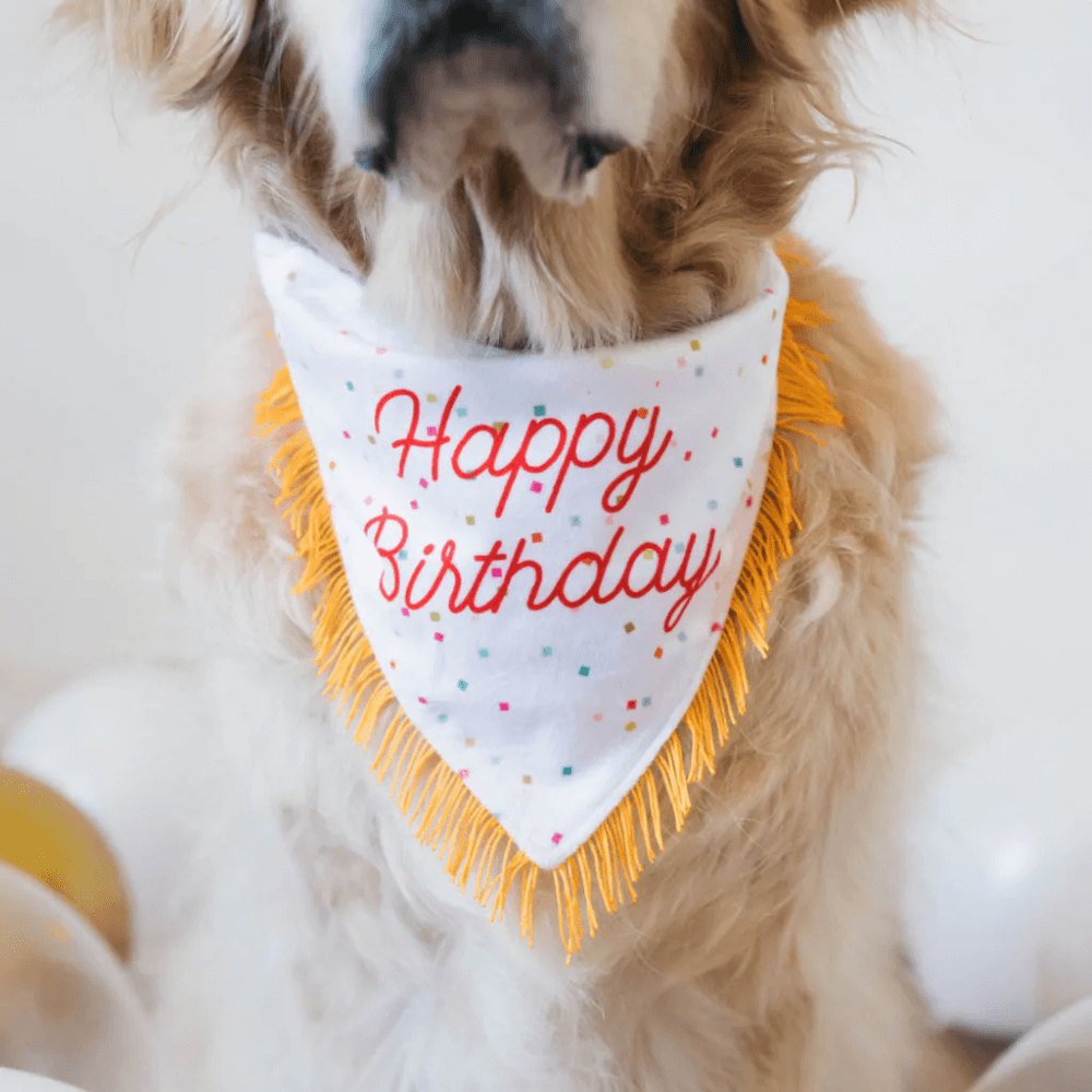 ZIPPYPAWS BIRTHDAY BANDANA & BONE