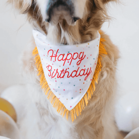 ZIPPYPAWS BIRTHDAY BANDANA & BONE