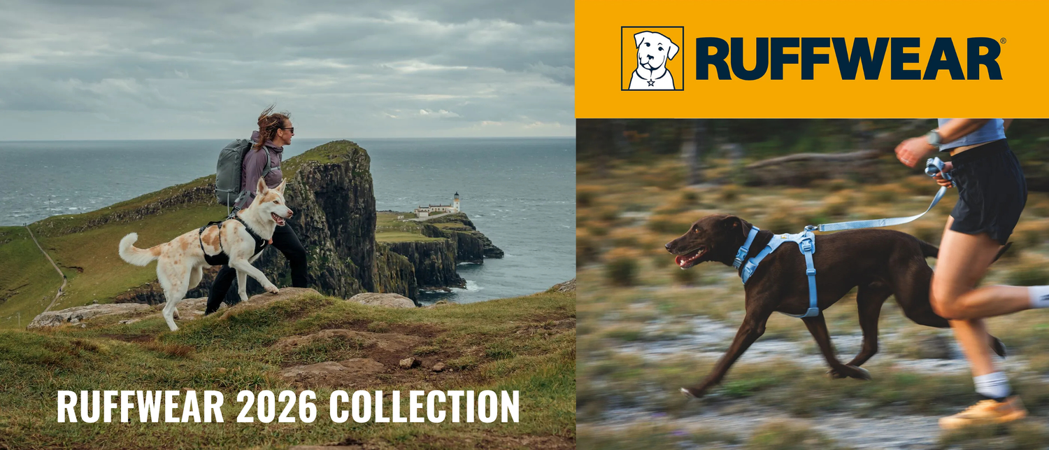 Dog Collars, Leads & Harnesses