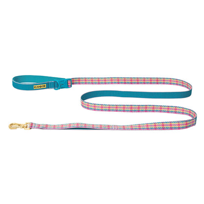 iCANDOR Gentle Leash Bolt 2m/2.5cm